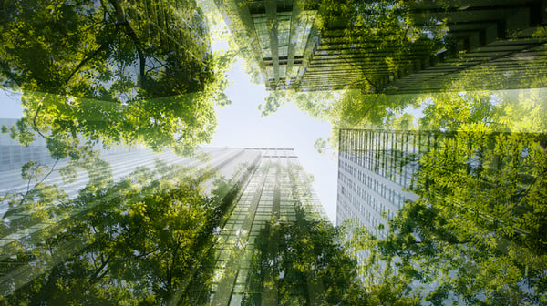 Green skyscraper sustainability