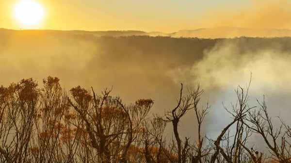 Early morning sun shining across landscape